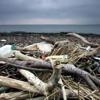 La natura rischia la bancarotta. Urgente un cambio di rotta