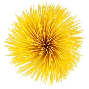 shutterstock 740435771 shutterstock 740435771
