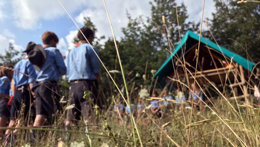 Scout in un prato, con tenda sullo sfondo