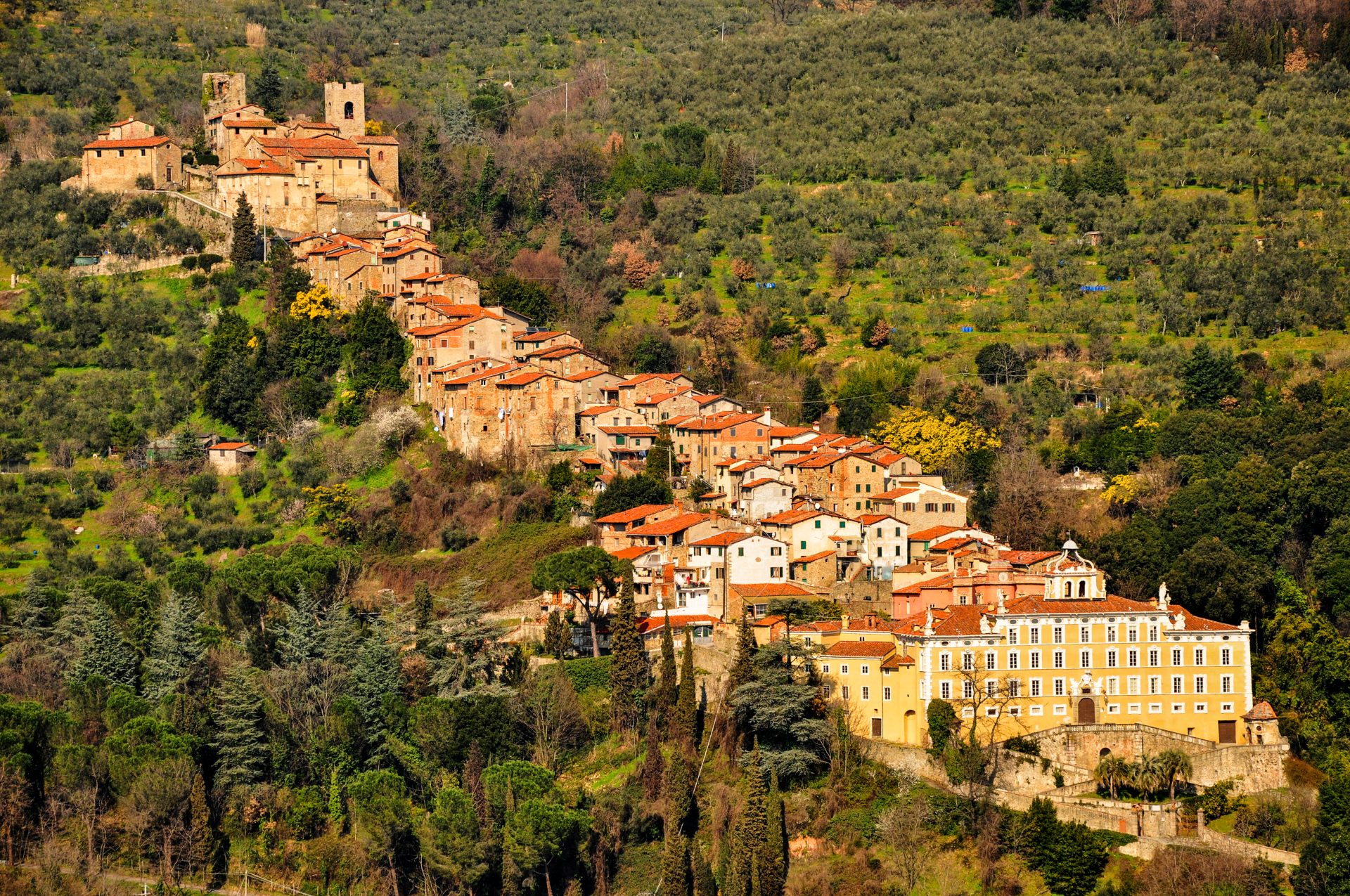 Una veduta aerea di Collodi, frazione di Pescia. In diagonale, il centro abitato, che si sviluppa in salita. Ai lati, bosco