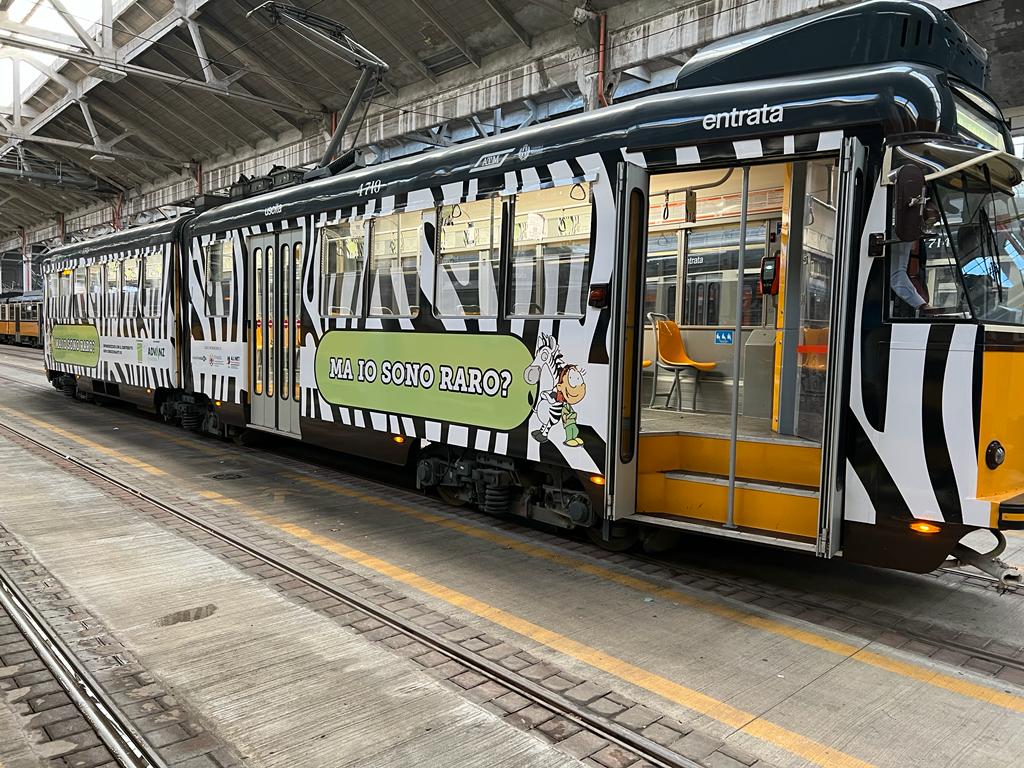 Un tram zebrato per i tumori neuroendocrini 