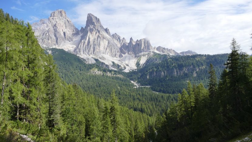 Un bosco in primo piano e le dolomiti innevate sullo sfondo, con un cielo velato di nuvole