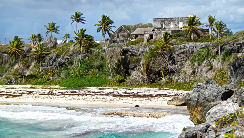 Barbados Foto di Kathryn Maingot su Unsplash
