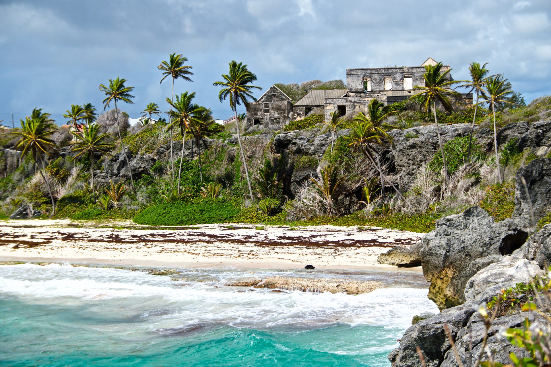 Barbados Foto di Kathryn Maingot su Unsplash