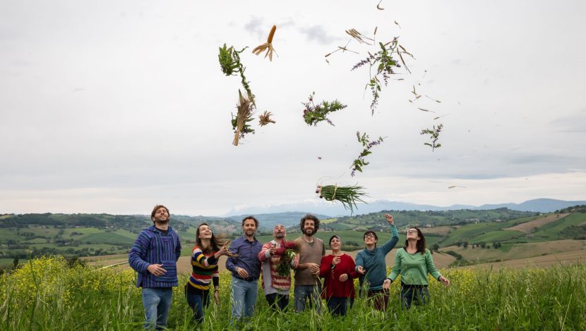 Un gruppo di giovani in un campo lancia in aria delle foglie verso l'obiettivo