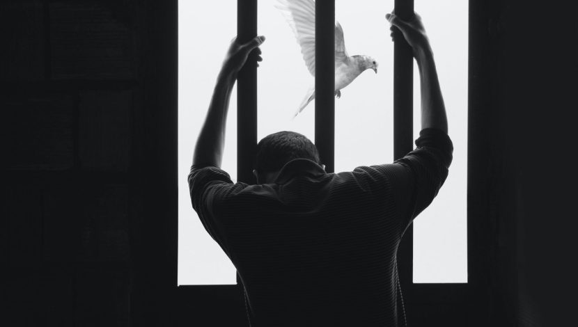 Foto in bianco e nero con una persona detenuta vista da dietro che si aggrappa alle sbarre, oltre le sbarre una colomba