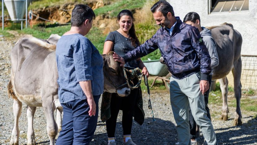 tre persone (due maschi e una femmina, attorno a una mucca, uno le accarezza il capo