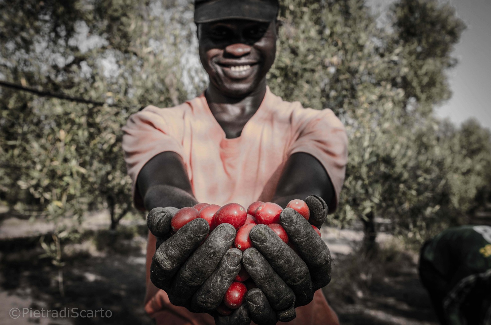 Un uomo allunga le braccia verso l'obiettivo, tenendo in mano dei pomodori