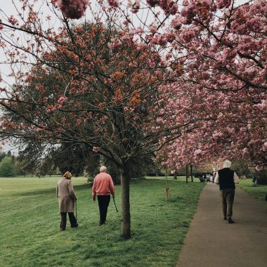 Anziani che camminano in un parco
