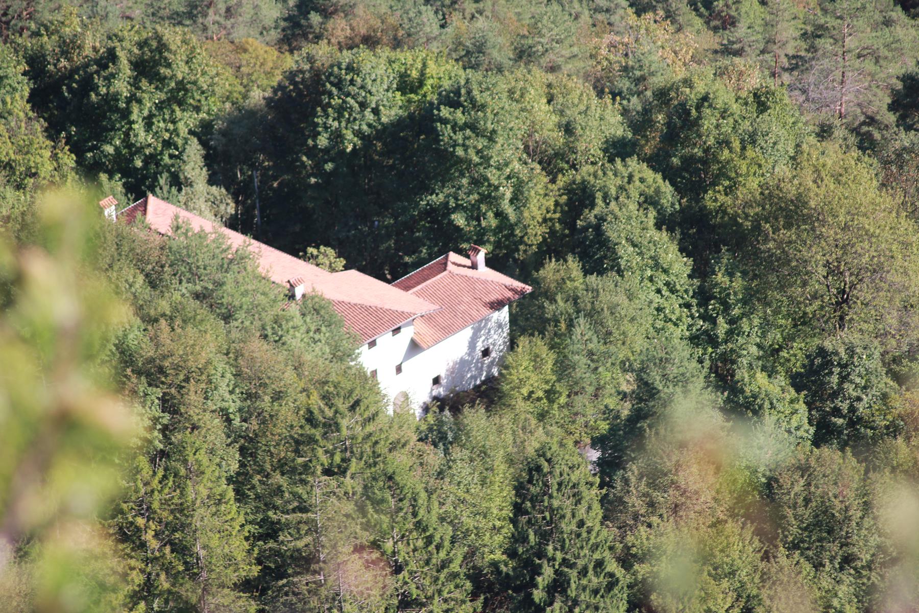 Panoramica dall'alto di una casa nel bosco 