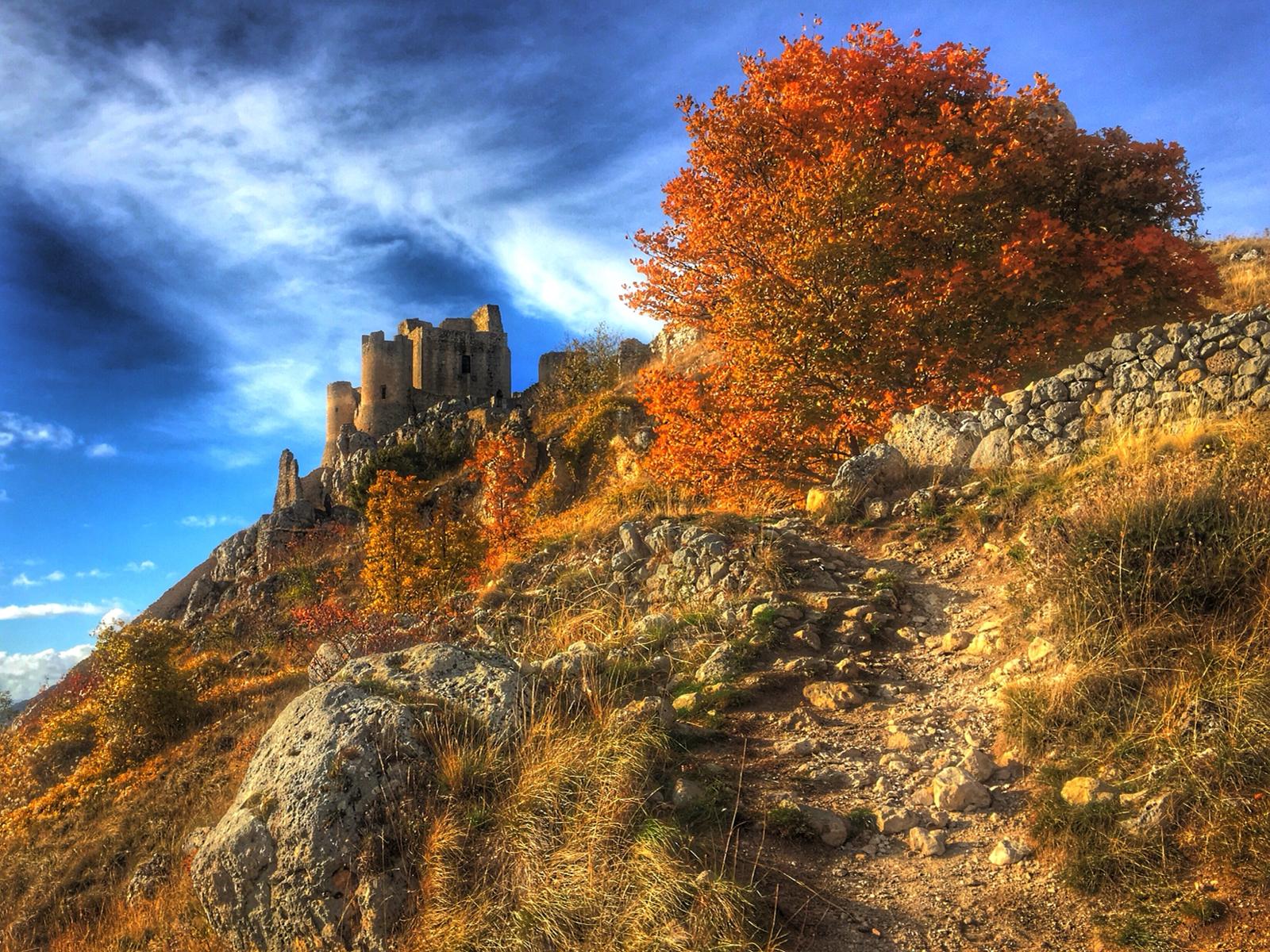 ruderi di un torre sullo sfondo, in primo piano un albero con colori autunnali, con luce del tramonto