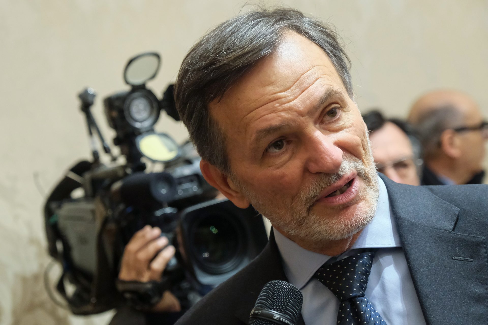 Alberto Balboni, FDI