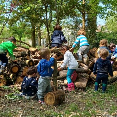 Bambini che si arrampicano su una catasta di legna nel bosco