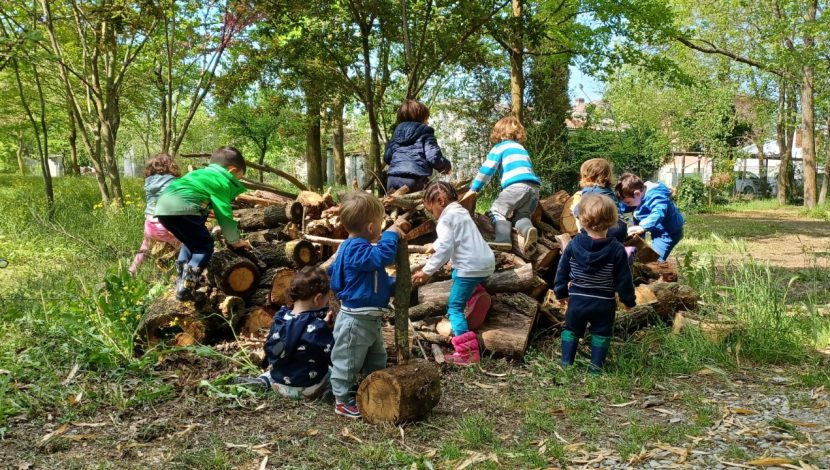 Bambini che si arrampicano su una catasta di legna nel bosco