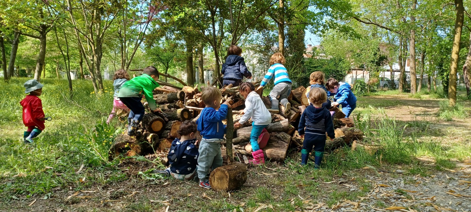 Bambini che si arrampicano su una catasta di legna nel bosco