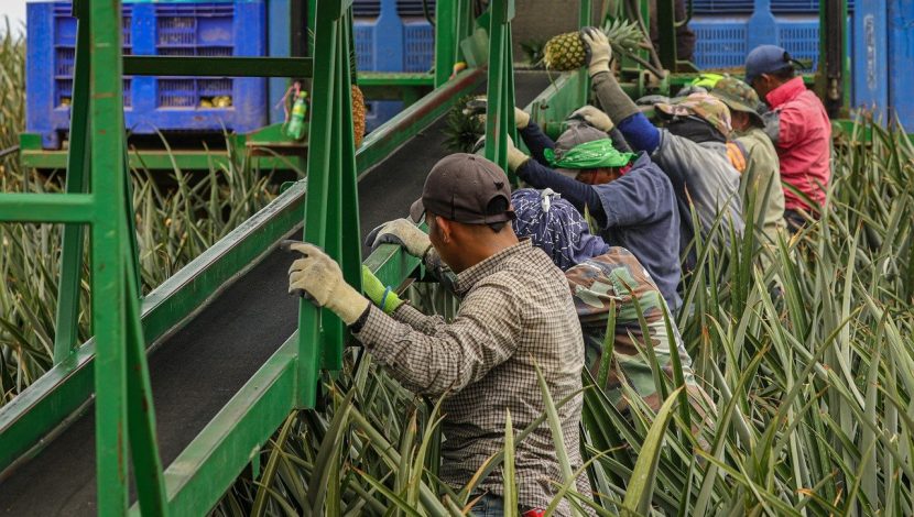 lavoro