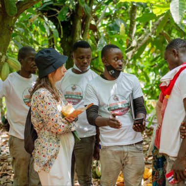 cacao