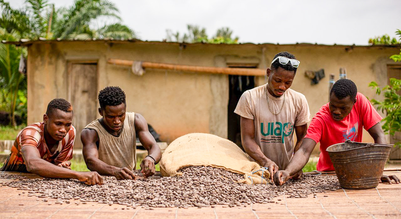 cacao